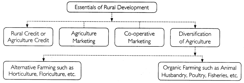 Economics Class 12 Important Questions Chapter 6 Rural Development 1