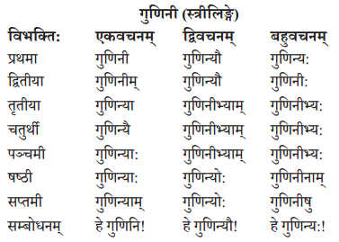 Abhyasvan Bhav Sanskrit Class 10 Solutions Chapter 8 प्रत्यया 14