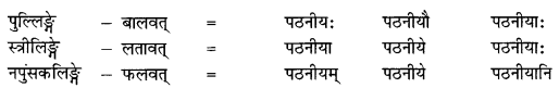 Abhyasvan Bhav Sanskrit Class 10 Solutions Chapter 8 प्रत्यया 16