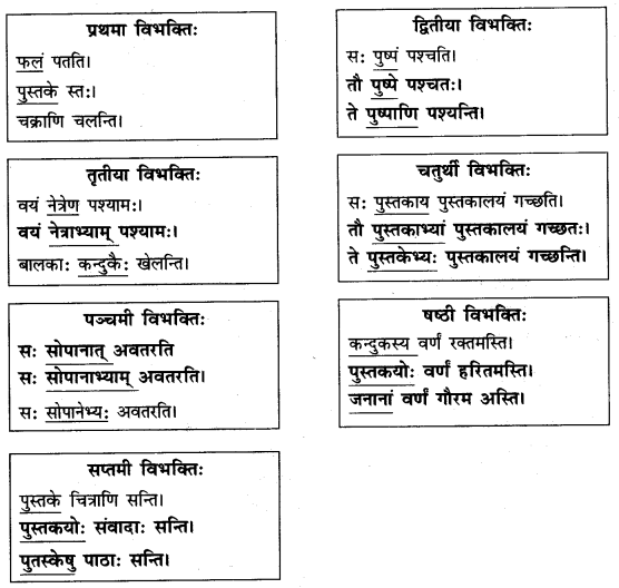 Abhyasvan Bhav Sanskrit Class 9 Solutions Chapter 10 शब्दरूपाणि 3