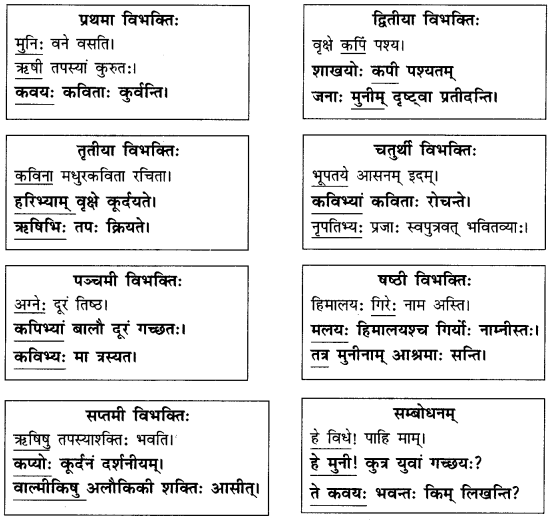 Abhyasvan Bhav Sanskrit Class 9 Solutions Chapter 10 शब्दरूपाणि 7