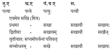 Abhyasvan Bhav Sanskrit Class 9 Solutions Chapter 10 शब्दरूपाणि 8