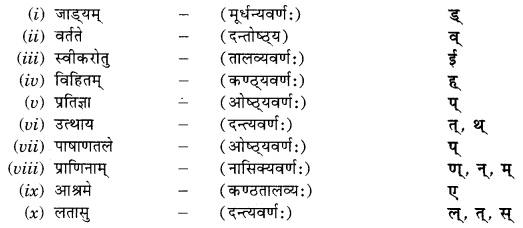 Abhyasvan Bhav Sanskrit Class 9 Solutions Chapter 12 वर्णविचारः 7