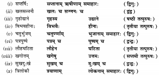 Abhyasvan Bhav Sanskrit Class 9 Solutions Chapter 9 समासाः 1.2
