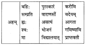 Class 10 Sanskrit Grammar Book Solutions अव्ययाः Q3