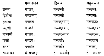 Class 10 Sanskrit Grammar Book Solutions प्रत्ययाः II Q3