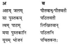 Class 10 Sanskrit Grammar Book Solutions प्रत्ययाः III Q2.1