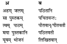 Class 10 Sanskrit Grammar Book Solutions प्रत्ययाः III Q2