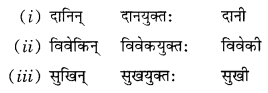 Class 10 Sanskrit Grammar Book Solutions प्रत्ययाः Q10.1