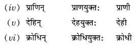 Class 10 Sanskrit Grammar Book Solutions प्रत्ययाः Q10.2
