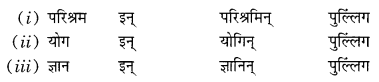 Class 10 Sanskrit Grammar Book Solutions प्रत्ययाः Q9.1