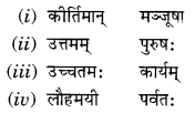 Class 10 Sanskrit Grammar Book Solutions प्रत्ययाः VI Q4
