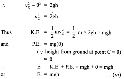 Class 11 Physics Important Questions Chapter 6 Work, Energy and Power 18