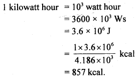 Class 11 Physics Important Questions Chapter 6 Work, Energy and Power 9