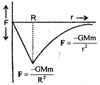 Class 11 Physics Important Questions Chapter 8 Gravitation 5
