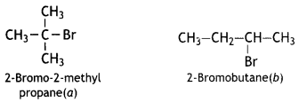 Class 12 Chemistry Important Questions Chapter 10 Haloalkanes and Haloarenes 108