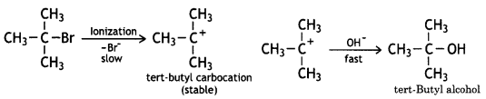 Class 12 Chemistry Important Questions Chapter 10 Haloalkanes and Haloarenes 111