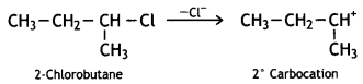 Class 12 Chemistry Important Questions Chapter 10 Haloalkanes and Haloarenes 18