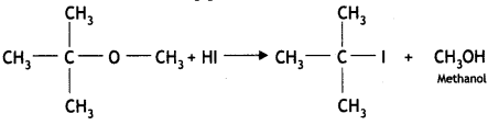 Class 12 Chemistry Important Questions Chapter 11 Alcohols, Phenols and Ethers 57