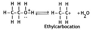 Class 12 Chemistry Important Questions Chapter 11 Alcohols, Phenols and Ethers 92