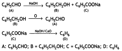 Class 12 Chemistry Important Questions Chapter 12 Aldehydes, Ketones and Carboxylic Acids 102