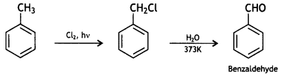 Class 12 Chemistry Important Questions Chapter 12 Aldehydes, Ketones and Carboxylic Acids 107