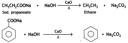 Class 12 Chemistry Important Questions Chapter 12 Aldehydes, Ketones and Carboxylic Acids 173