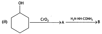 Class 12 Chemistry Important Questions Chapter 12 Aldehydes, Ketones and Carboxylic Acids 18