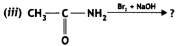 Class 12 Chemistry Important Questions Chapter 13 Amines 52