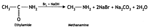 Class 12 Chemistry Important Questions Chapter 13 Amines 53
