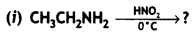 Class 12 Chemistry Important Questions Chapter 13 Amines 54