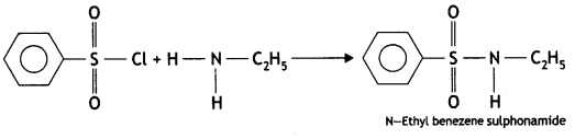 Class 12 Chemistry Important Questions Chapter 13 Amines 57