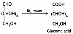 Class 12 Chemistry Important Questions Chapter 14 Biomolecules 19