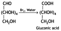 Class 12 Chemistry Important Questions Chapter 14 Biomolecules 25