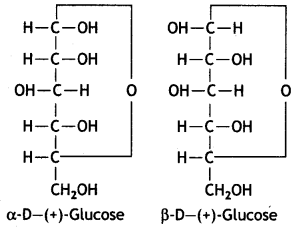 Class 12 Chemistry Important Questions Chapter 14 Biomolecules 26