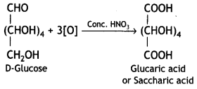 Class 12 Chemistry Important Questions Chapter 14 Biomolecules 7