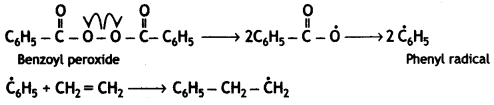 Class 12 Chemistry Important Questions Chapter 15 Polymers 25