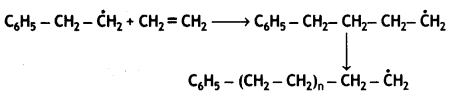 Class 12 Chemistry Important Questions Chapter 15 Polymers 26