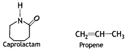 Class 12 Chemistry Important Questions Chapter 15 Polymers 5