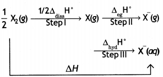 Class 12 Chemistry Important Questions Chapter 7 The p-Block Elements 74