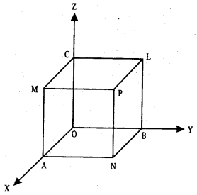 Class 12 Maths Important Questions Chapter 11 Three Dimensional Geometry 38