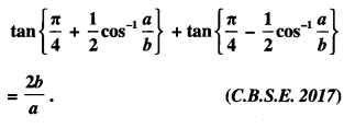 Class 12 Maths Important Questions Chapter 2 Inverse Trigonometric Functions 19