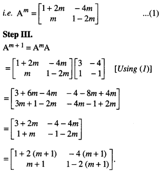 Class 12 Maths Important Questions Chapter 3 Matrices Maths 18