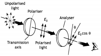 Class 12 Physics Important Questions Chapter 10 Wave Optics 21
