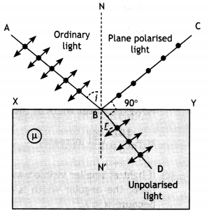 Class 12 Physics Important Questions Chapter 10 Wave Optics 51