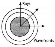 Class 12 Physics Important Questions Chapter 10 Wave Optics 70