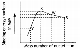Class 12 Physics Important Questions Chapter 13 Nuclei 31