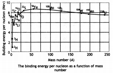 Class 12 Physics Important Questions Chapter 13 Nuclei 5