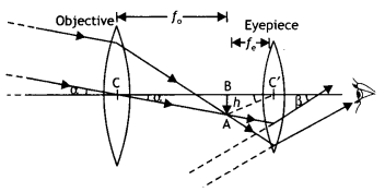 Class 12 Physics Important Questions Chapter 9 Ray Optics and Optical Instruments 11
