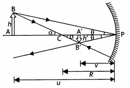 Class 12 Physics Important Questions Chapter 9 Ray Optics and Optical Instruments 52